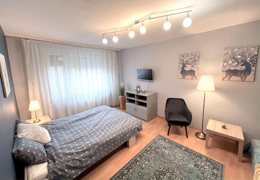 Pille Apartman Szeged Kültér fotó
